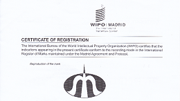 时恒电子取得马德里商标注册